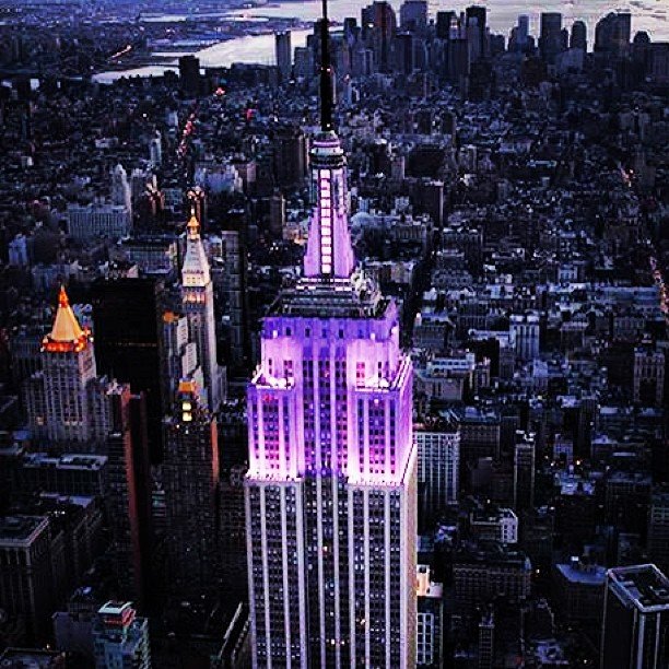 New York University